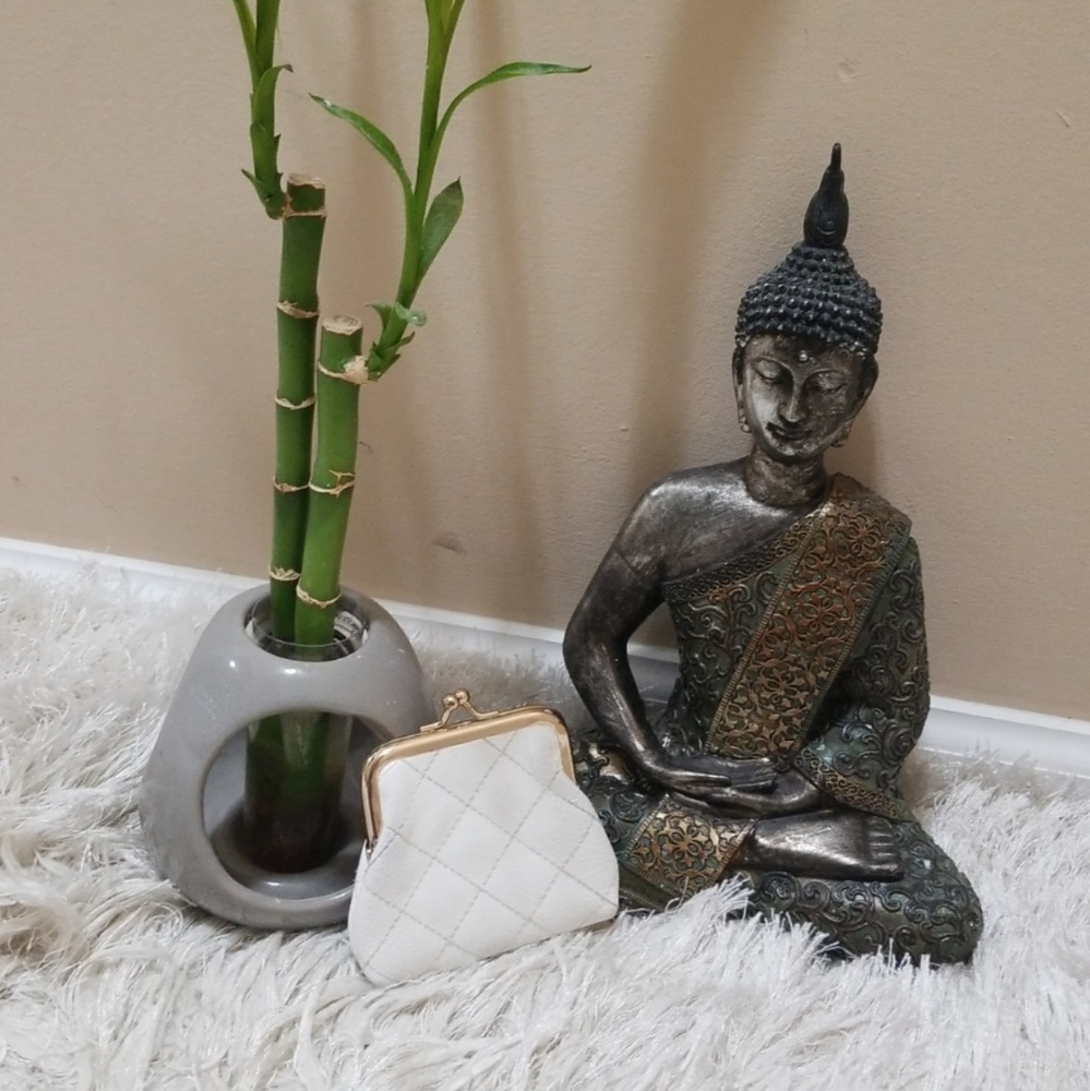 Brand New Faux Leather Coinpurse